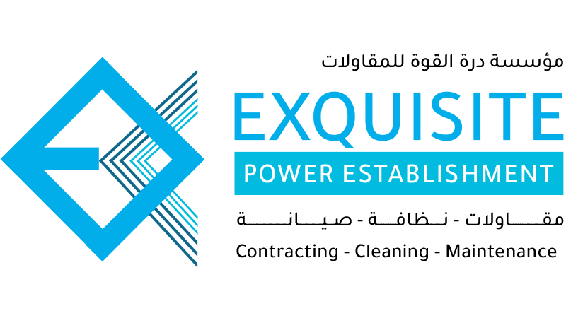 logo-ex-power copy مؤسسة درة القوة للمقاولات